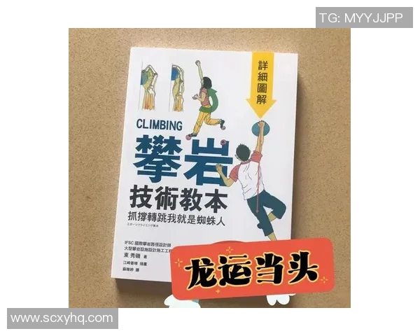 杭州攀岩队耐力对比研究揭示训练方法与成绩之间的关系