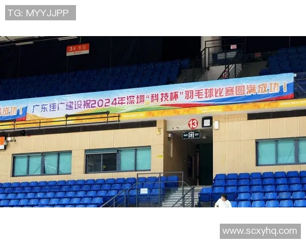 深圳羽毛球队实力解析：从训练到比赛的全面剖析与展望