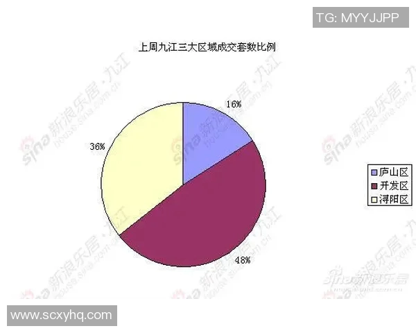 独家解析西安排球队节奏对比及其战术影响分析